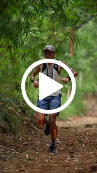 BIB:  <button type="button" onclick="openModal(26805238)" class="btn btn-primary btn-sm float-right" data-toggle="modal" data-target=".modal-high-quality">
                <i class="fa fa-download"></i> Download
                </button>